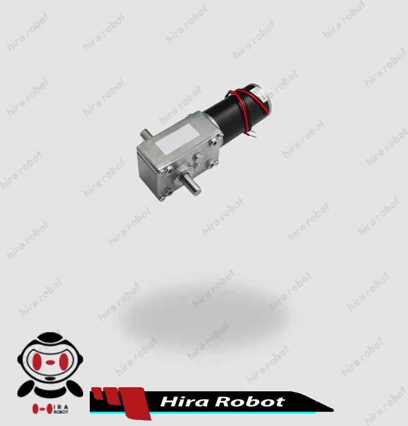 موتور گیربکس ZWL-31ZY 12v دو شفت